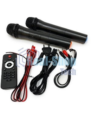 Колонка Eltronic 08