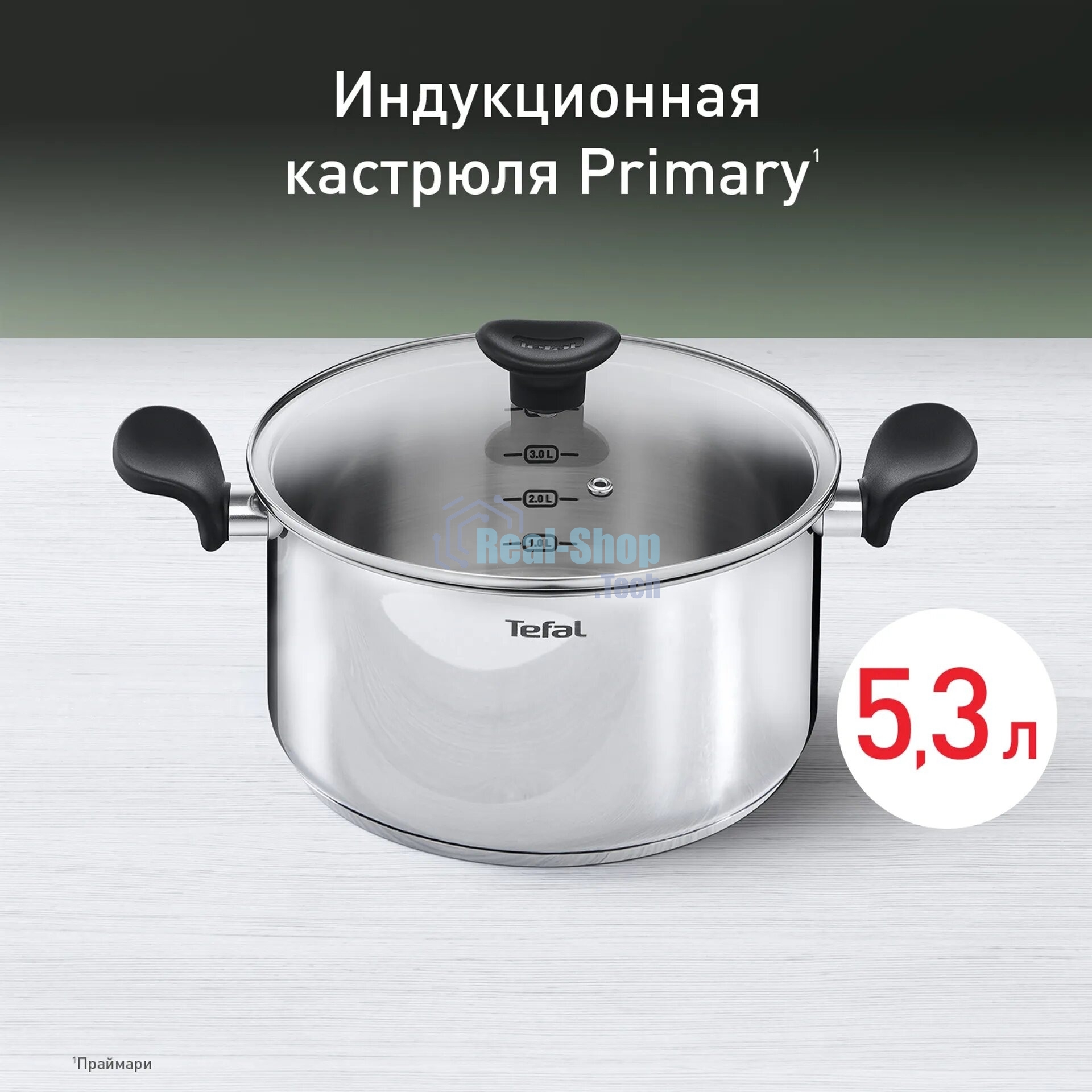 Кастрюля Tefal Primary E3084674 5.2 л. d=24 см (с крышкой) стальной (2100120958)