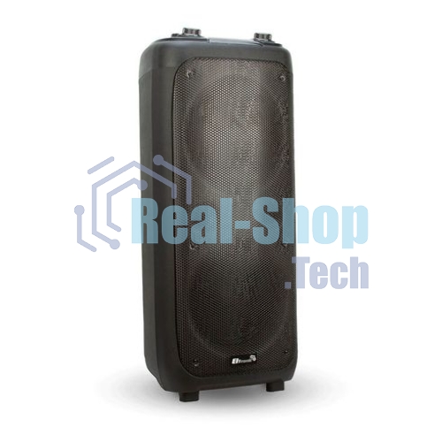 Колонка ELTRONIC 10
