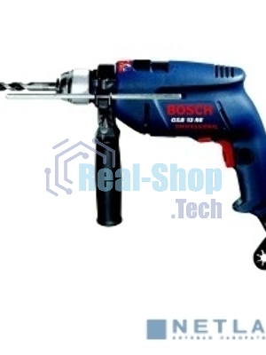 Дрель ударная Bosch GSB 13 RE Professional 600Вт патрон:быстрозажимной реверс