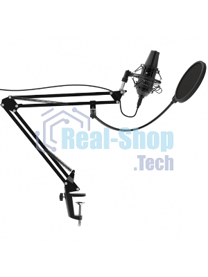 Микрофон Ritmix RDM-180 черный