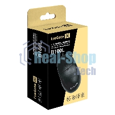 Мышь проводная ExeGate Professional Standard B100L черный, 1000 dpi, USB, кнопки - 3