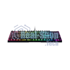 Клавиатура Razer BlackWidow V4 X проводная, USB Type-A, чёрный