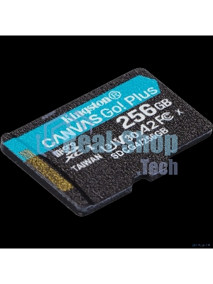 Флеш карта microSDXC 256Gb Kingston SDCG4/256GbSP Canvas Go! Plus V10 A2 w/o adapter
