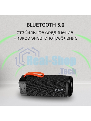 Портативная колонка Digma D-PS1522 черный 60W 2.0 BT 10м 3000mAh
