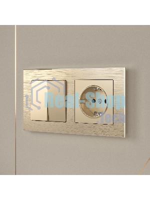 Рамка WERKEL на 2 поста (шампань алюминий) W0021711