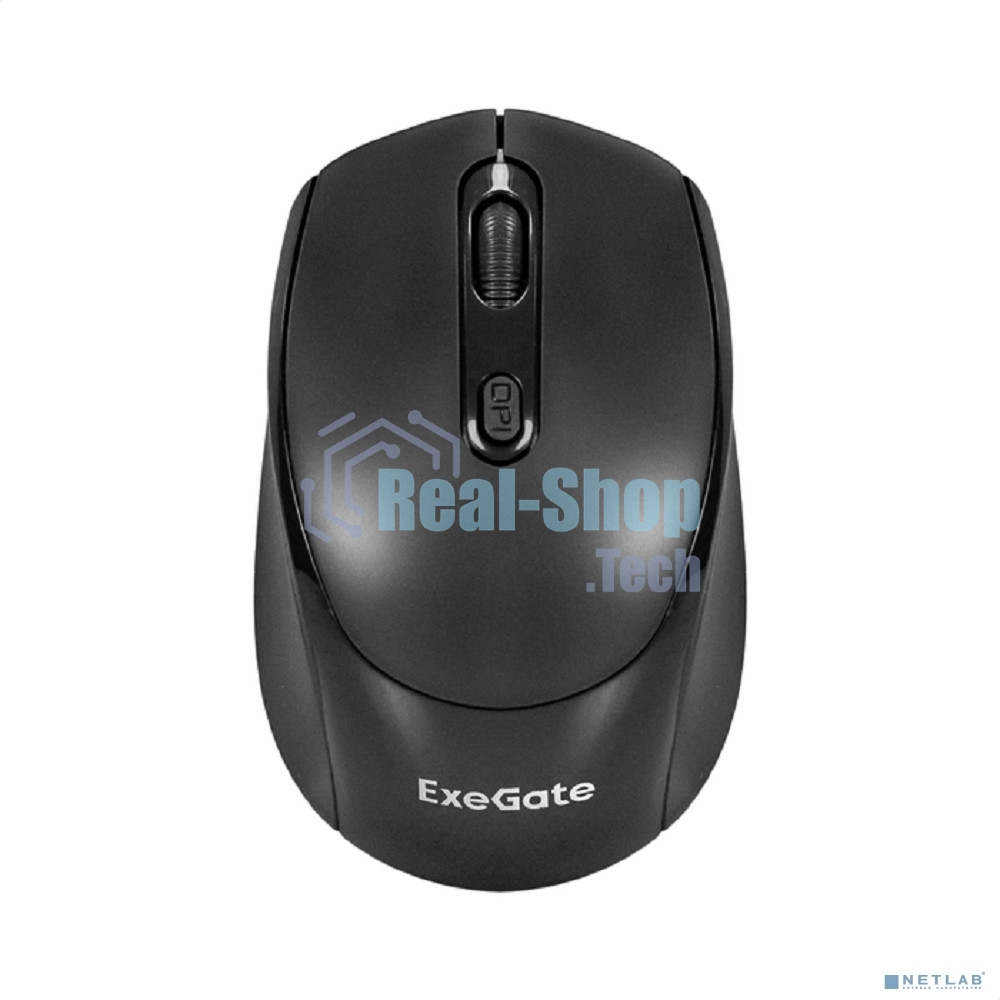 Мышь беспроводная ExeGate Professional Standard SR-9005 черный, 1200 dpi, радиоканал, USB, кнопки - 4