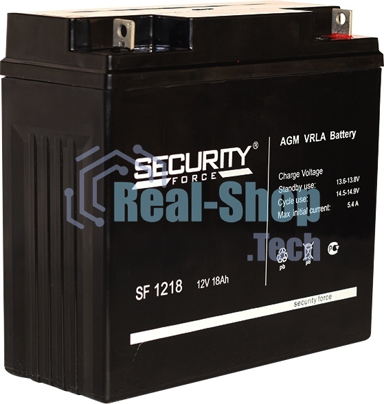 Аккумулятор Delta Security Force SF 1218