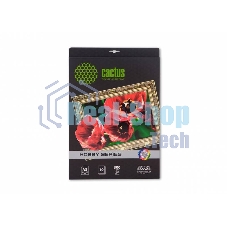 Холст Cactus CS-СA326010 A3/10л. для струйной печати