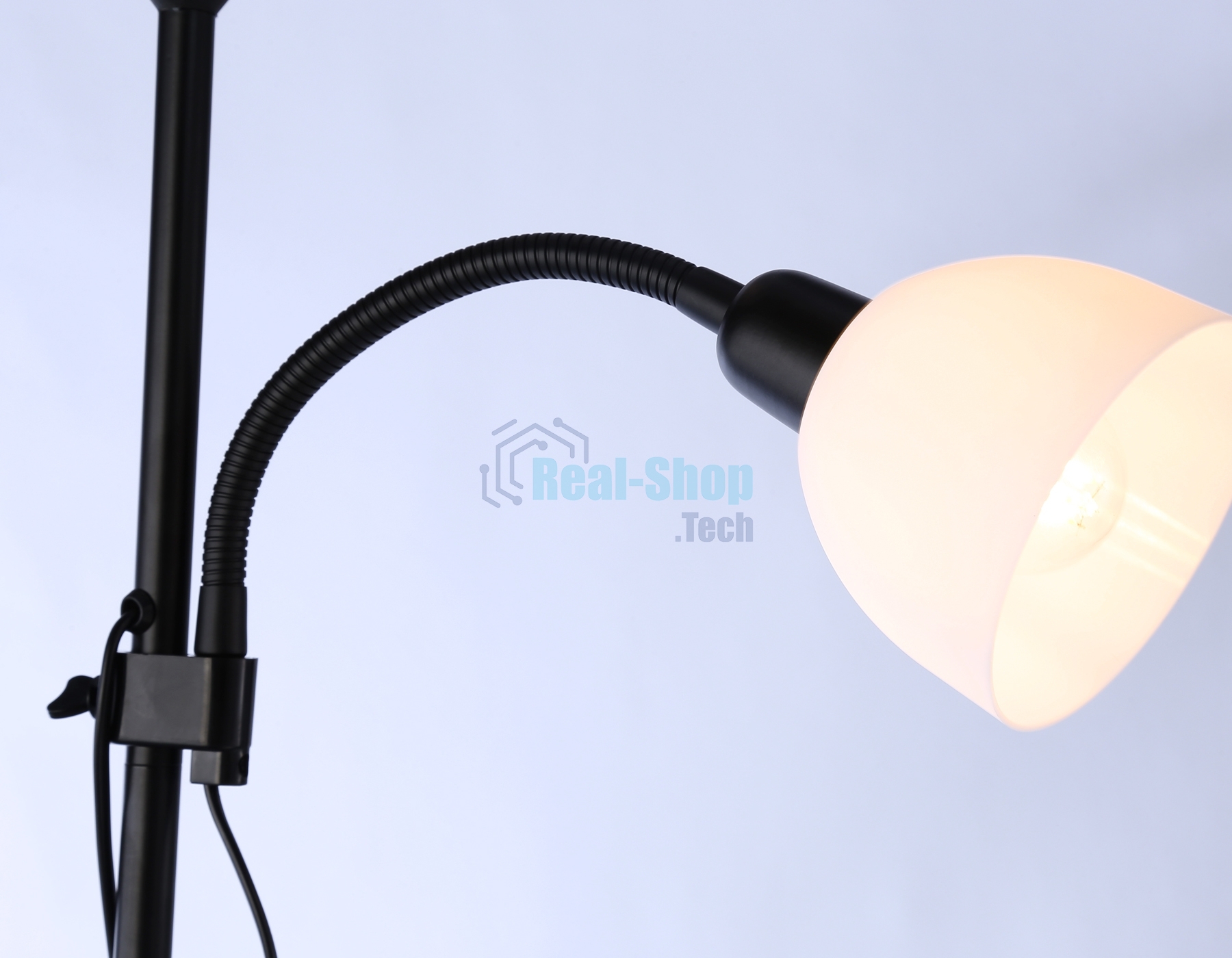 Светильник Ambrella light TR97629/2 BK черный E27+E14 max 40W D245/100*1770