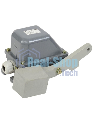 Выключатель концевой КУ-703 У1 рычаг с грузом 10А IP44 2 эл. цепи б/п IEK KV-1-703-1