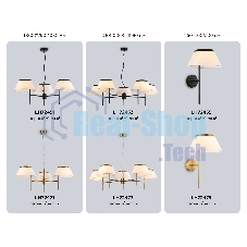 Настенный светильник Ambrella light LH72455 BK/WH черный/белый Е14 max 40W 300*260*400