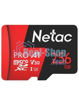 Флеш Карта MicroSD card Netac P500 Extreme Pro 256Gb, retail version w/SD adapter
