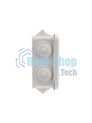 Коробка распаячная Rexant ОУ 100x100x50 мм, IP55