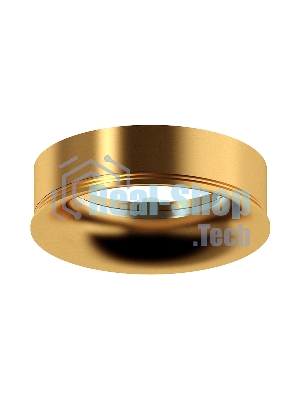 Насадка для корпуса светильника N7014 PYG золото желтое полированное D70*H20mm Out2mm MR16
