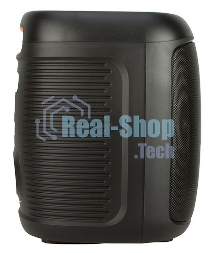 Колонка ELTRONIC 08