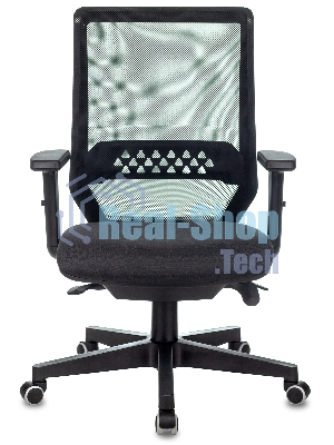 Кресло Бюрократ EXPERT TW-01 черный, сетка, подголовник