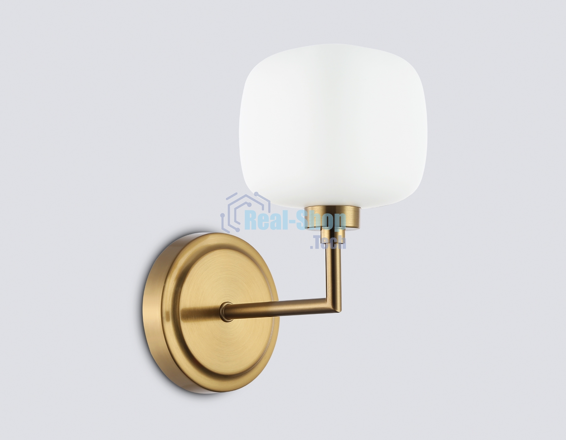 Настенный светильник Ambrella light LH53021 BS/FR латунь/белый матовый G9 max 40W 195*120*230