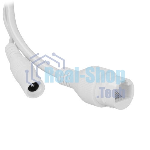 Уличная купольная IP-видеокамера Dahua DH-IPC-HDBW2449EP-S-IL-0280B Smart Dual Light с ИИ 4Мп, 1/2.9” CMOS, объектив 2.8мм, видеоаналитика, ИК до 30м, LED до 30м, IP67, корпус: металл