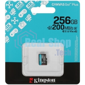 Флеш карта microSDXC 256Gb Kingston SDCG4/256GbSP Canvas Go! Plus V10 A2 w/o adapter