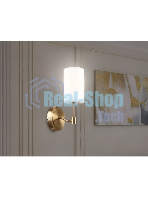 Настенный светильник Ambrella light LH56056 BS/FR латунь/белый матовый E14 max 40W 160*120*280