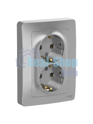 Розетка 2-м СП Blanca 16А 250В без шторок с заземл. алюм. SchE BLNRS001023