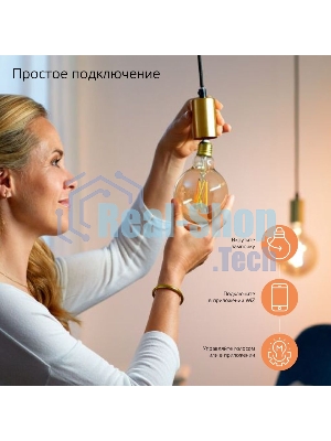 Лампа светодиодная филаментная Gauss Smart Home DIM+CCT E14 CF35 4,5 Вт 2000-6500 К 1/10/40