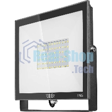 Прожектор светодиодный 61 948 OFL-100-6K-BL-IP65-LED ОНЛАЙТ 61948