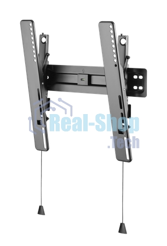 Кронштейн для ТВ наклонный Maunfeld MTM-3255TS