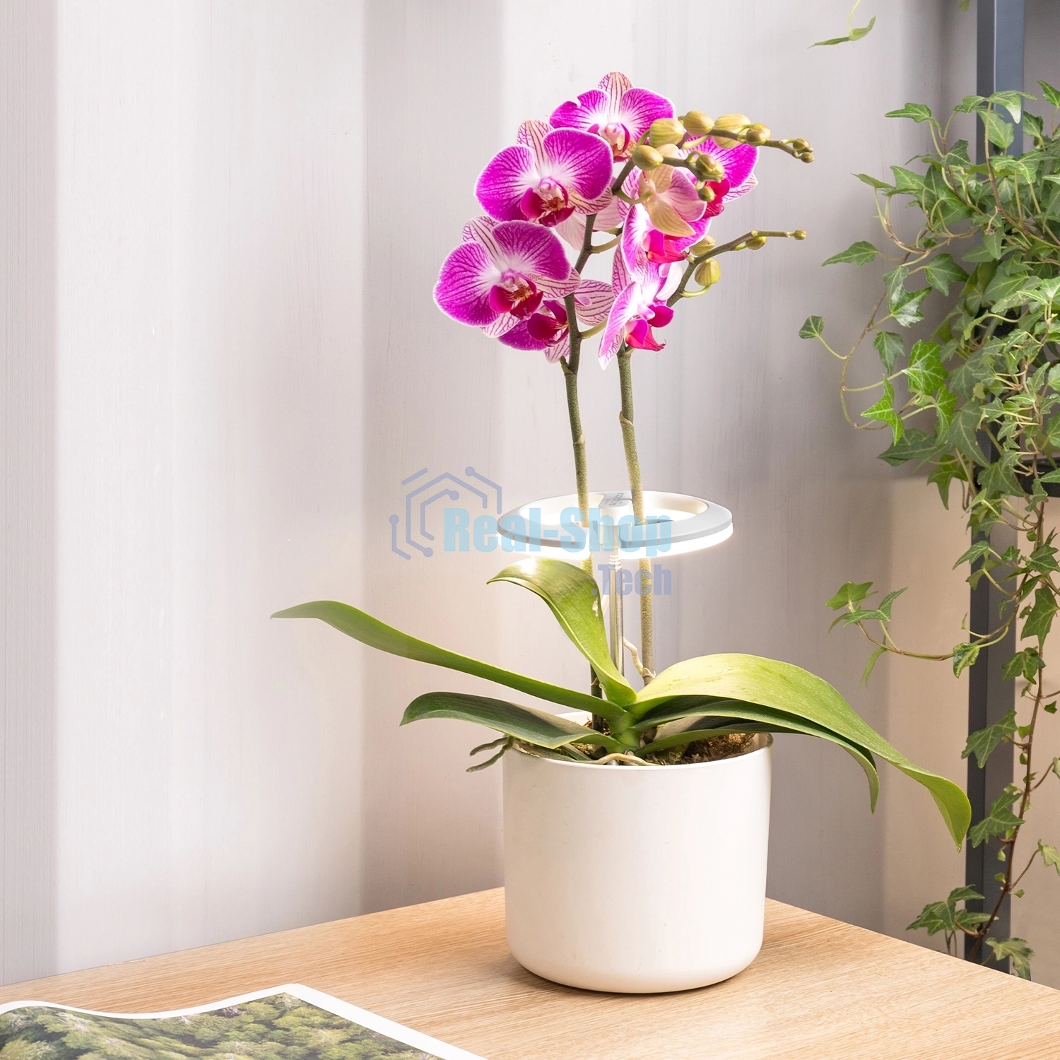 Светильник фито Cactus GARDEN светод. 7.5Вт цв.св.:белый (CS-LED-ORCHID)