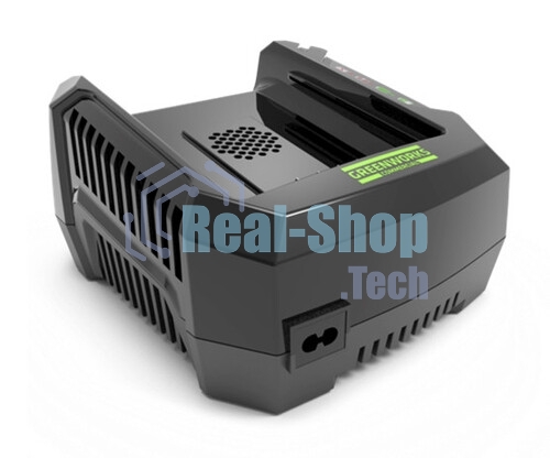 Зарядное устройство Greenworks 291470782В
