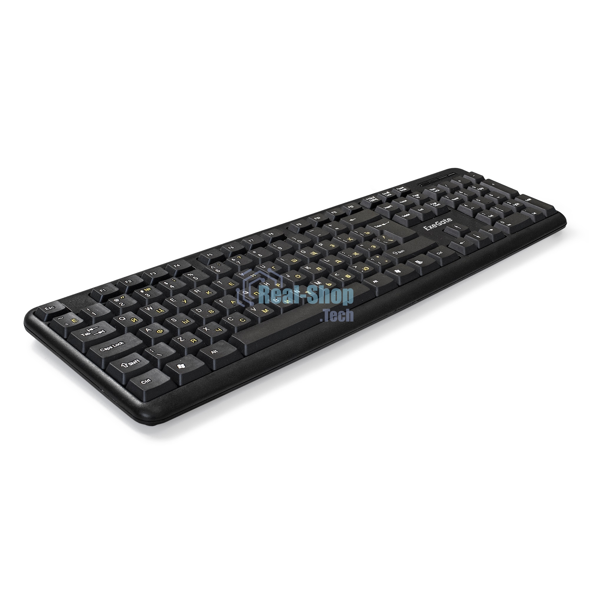 Клавиатура проводная ExeGate Professional Standard LY-405 (EX287138RUS), USB, черный