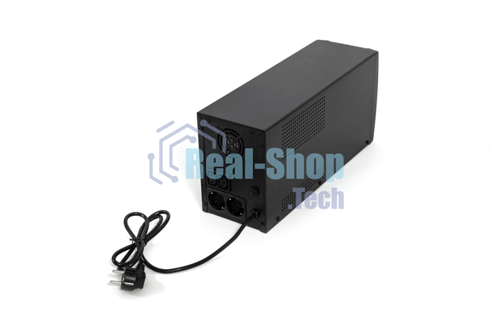 Источник бесперебойного питания RAPAN-UPS 3000 220В
