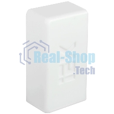 Заглушка кабельной трассы IEK (CKMP10D-Z-025-016-K01) КМЗ 25х16 (4 шт./комп.) (коробка 72 шт.) Заглушка кабельной трассы IEK (CKMP10D-Z-025-016-K01) КМЗ 25х16 (4 шт./комп.) (коробка 72 шт.)