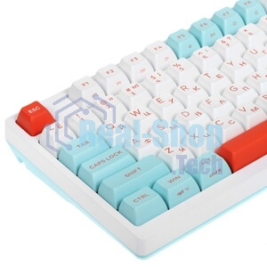 Клавиатура проводная A4Tech Fstyler FS300 (FS300 PANDA SNOWBOARDING), USB, белый/синий