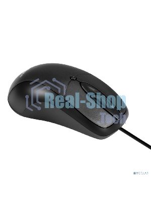 Мышь проводная ExeGate Professional Standard B100 черный, 1000 dpi, USB, кнопки - 3