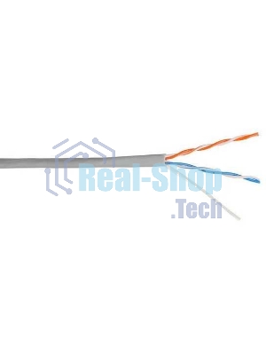 Кабель информационный Lanmaster NM-UTP5E2PR-CCA кат.5е U/UTP не экранированный 2X2 PVC внутренний 305м серый