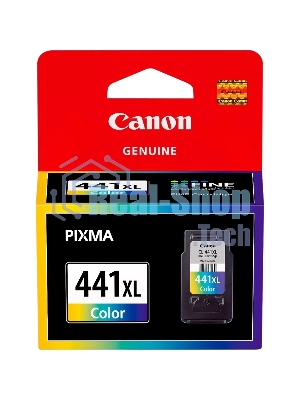 Картридж струйный Canon CL-441XL (5220B001) многоцветный для Canon MG2140/3140