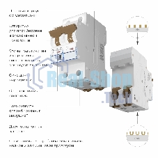 Автоматический выключатель Werkel 2P 63 A C 6 кА W902P636