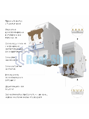 Автоматический выключатель Werkel 2P 63 A C 6 кА W902P636