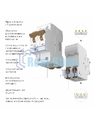 Автоматический выключатель Werkel 2P 40 A C 6 кА W902P406