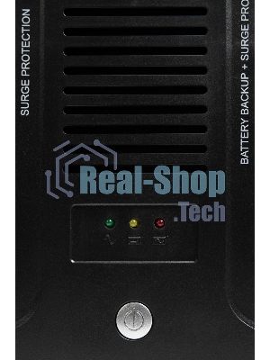 Источник бесперебойного питания SMARTWATT UPS SAFE PRO 1000 черный 1000/600 ВА/Вт, линейно-интерактивный, напольный/настенный, LED индикация, Shuko CEE7/4 - 8 шт. (4 шт. с резервным питанием, 4 шт. - сетевой фильтр)