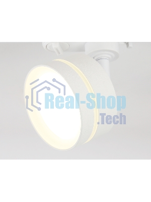 Cветильник трековый GL5384 WH/FR белый/белый матовый GX53 max 12W