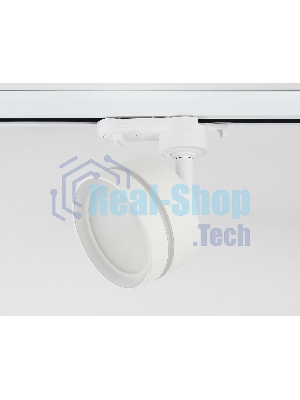 Cветильник трековый GL5384 WH/FR белый/белый матовый GX53 max 12W
