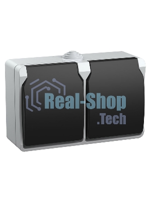Розетка двухместная РСб22-3-ФСр с з/к для открытой установки IP54 Форс ERS22-K03-16-54-DC IEK