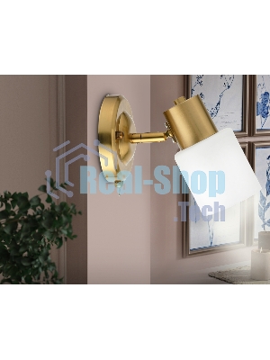 Светильник Ambrella light TR3967 BS/FR латунь/белый матовый E27 max 40W 140*80*194