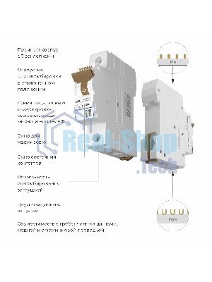 Автоматический выключатель Werkel 1P 50 A C 6 кА W901P506