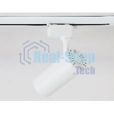 Трековый светодиодный светильник Ambrella light GL5821 WH белый LED 15W 4200K 24°